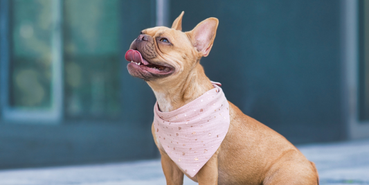 Proper Garment Care for Bandanas: Keeping Them Pristine and Wrinkle-Free