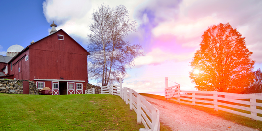 The Farmer's Secret Tool: How Bandanas Become Essential in Agriculture