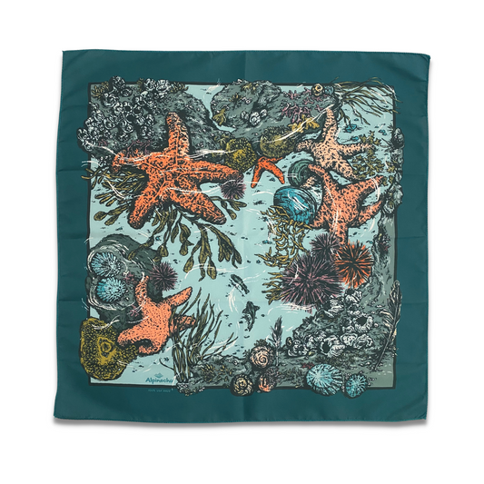 Tide Pool Quick-Dry Bandana - Teal