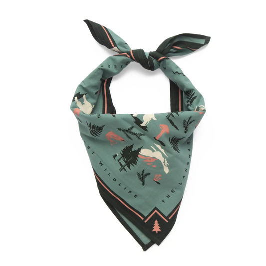 Northwest Wildlife Bandana - Mint & Seaweed